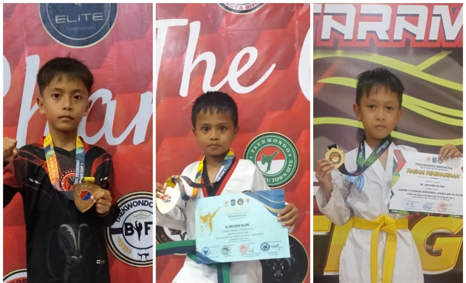 Santri MI Hamzanwadi No. 1 Pancor Raih Prestasi Gemilang di Kejuaraan Taekwondo Nasional